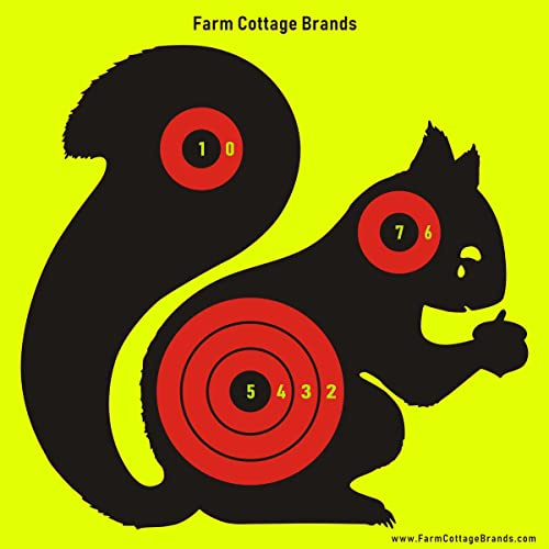 Pack of 10 SQUIRREL 8 square Stick and Splatter sheets - Adhesive splatterburst Shoot-N-C Shooting Targets. Practise your vermin control. For .22 rifles, air rifles, air pistols, AirSoft & BB guns