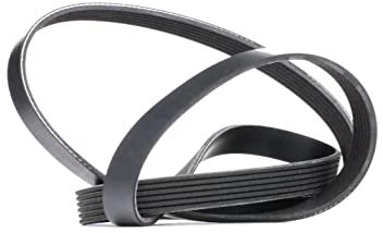 RIDEX Cinghia servizi 305P0083 Golf V Schrägheck (1K1) TOURAN (1T1, 1T2) 1740mm