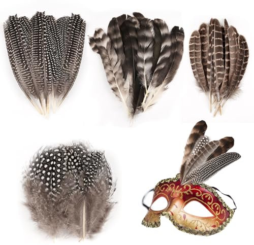 Deepton 50 Stück 4 Stil Federn zum Basteln, Feder Truthahnfedern, Federn Groß, Schwarze Federn Basteln, Federn Weiss, Bastelfedern, Federn Deko für DIY Ostern Weihnachten Maske Traumfänger