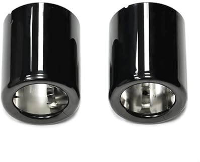 Endschalldämpfer Für X1 F49 F48 2019 2020 2021 2022 2023 2 Teile/los Auspuffblende Trim Abdeckung Ersatz Endrohr Düse Schalldämpfer Tuning