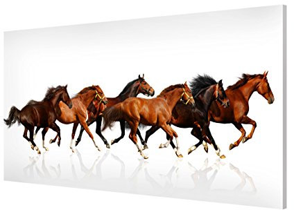 Magnettafel Pferdeherde Memoboard Design Quer Metall Magnet Pinnwand Motiv Wand Stahl Küche Büro, Größe HxB: 37cm x 78cm