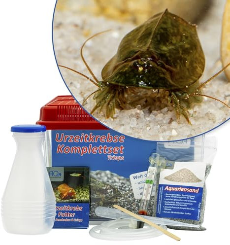 AQ4Aquaristik Triops cancriformis simplex Starterset: Urzeitkrebse Eier, 2,5 l Aquarium, Zubehör, Futter und Anleitung