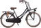 AMIGO Sturdy - Transportfahrrad 24 Zoll - Hollandrad mit Frontgepäckträger - Kinderfahrrad - 43 cm - Rücktrittbremse & V-Bremse - Mattschwarz