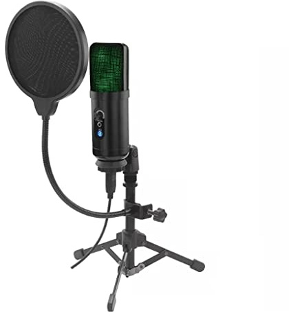 MSUDGH Microfono USB Microfono a condensatore Professionale Computer Portatile Tipo-c Telefono Cellulare Microfono Universale