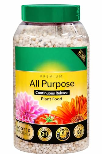All Purpose Continuous Release Plant Food 900g | Slow Release Fertiliser Granules | Feeds Plants for Up to 6 Months | Ideal for Flowers, Plants & Shrubs