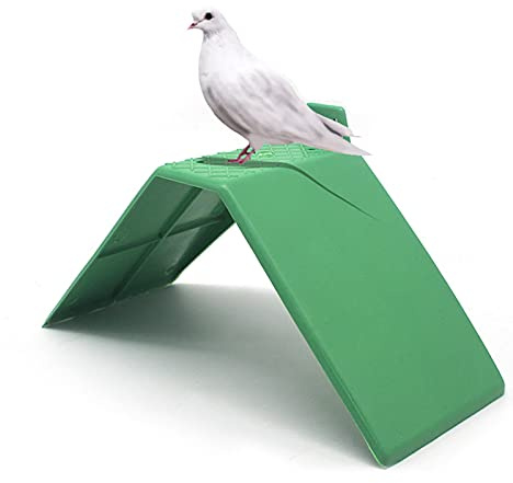 Pigeon Perches 10PCS Plastic Small Green Anti-skid Design Dove Rest Stand Roost Frame Bird Supplies Grill Dwelling Accessories Support Cage