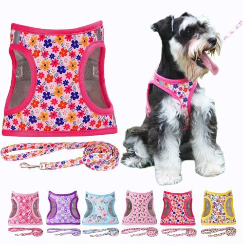Moonpet Step in Air Hundegeschirr Leine Set – Reflektierendes Blumenmuster gepolsterte Netzweste Geschirr für Katzen, Welpen, extra kleine, kleine, mittelgroße Hunde-Romantisches Sakura - S