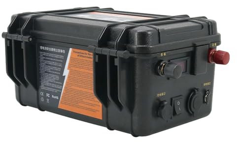 WILLQ Batería de fosfato de Hierro y Litio LiFePO4 12V 24V 60Ah-200Ah BMS Incorporado para Barco eléctrico Motor Barco de Pesca hélice batería de propulsión Marina,24v200ah+10a