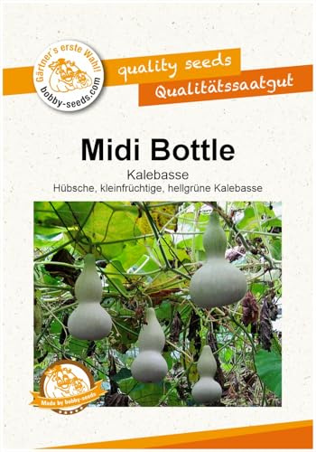 Midi Bottle Kürbissamen von Bobby-Seeds, Portion