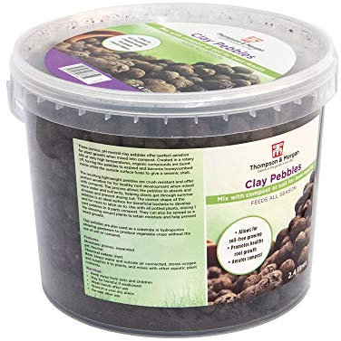 Grow Media Clay Pebbles, A Clean Alternative to Soil Perfect for Top Dressing Potted Plants Improves Drainage and Aeration Ideal for Growing Orchids 2 x 2.4 Litre Tubs by Thompson and Morgan