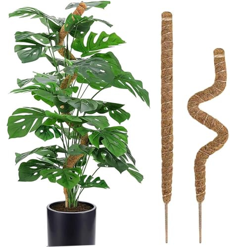 Moss Pole, 31.5 Bendable Moss Pole for Plants Monstera, Tall Moss Poles for Climbing Plants Indoor DIY, Coir Plant Pole Sticks Support Stakes for Potted Plants, Pothos, Philodendron,2 Pack