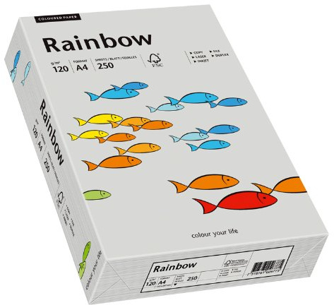Papyrus 88042810 Druckerpapier Rainbow 120 g/m², A4 250 Blatt grau