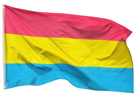 PHENO FLAGS Pan Flagge 90x150cm - wetterbeständige Pride Fahne mit Messingösen, 100% Polyester, robuste Doppelnaht & in lebendigen Farben - ideal für Flaggen-Liebhaber