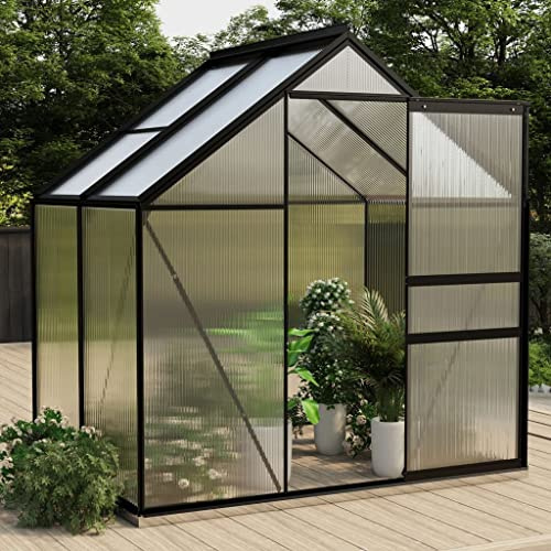YEZIYIYFOB Gewächshaus Anthrazit Aluminium 2,47 m² 130 B cm GewäChshaus Klein Frostschutz Pflanzen Winterschutz FrostwäChter GewäChshaus Winterfest GeräTehaus Tomatenhaus Enthalten Fundament