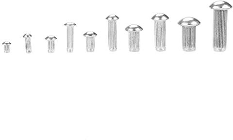 Ribattini in acciaio inox Assortimento Kit Rivetti Testa Rotonda Rivetto Stelo zigrinato per Etichette Targhe Fissaggio con Scatola di Plastica Diverse Misure