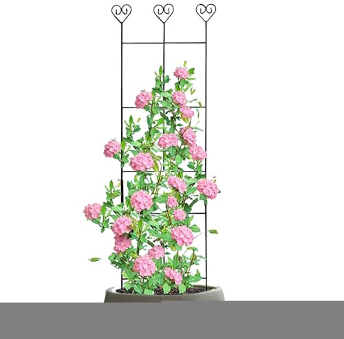 Traliccio Per Piante | Griglia Fiori per Piante Rampicanti da Esterno,Supporto con Pali in Metallo Decorazione Esterna Interna per Edera Rose Domestiche Monstera Pothos