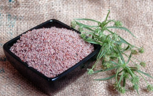 Naturix24 – Flohsamen indisch ganz – 100 g Beutel