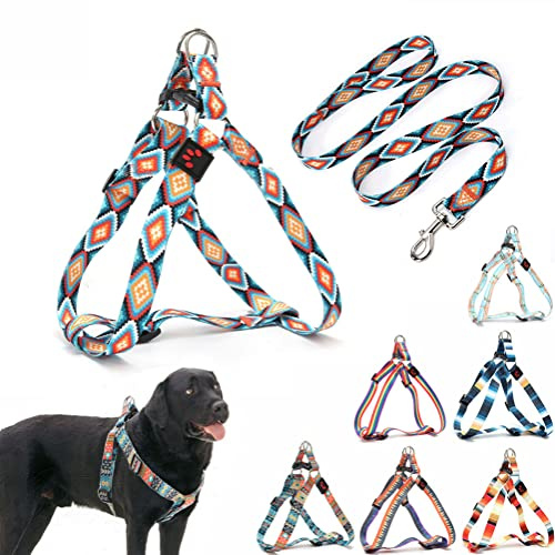 Juego de arnés y correa para perro, bonito patrón sin tirones, chaleco halter para cachorros al aire libre, fácil de caminar para razas pequeñas, medianas y grandes, perros mastín matón, hembra, macho