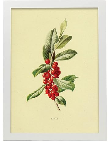 Nacnic Manifesto di Agrifoglio. Collezione floreale vintage. Cornici decorative per il tuo soggiorno, camera da letto, casa. Stampa di arte da parete. Dimensioni A3 con cornici bianche