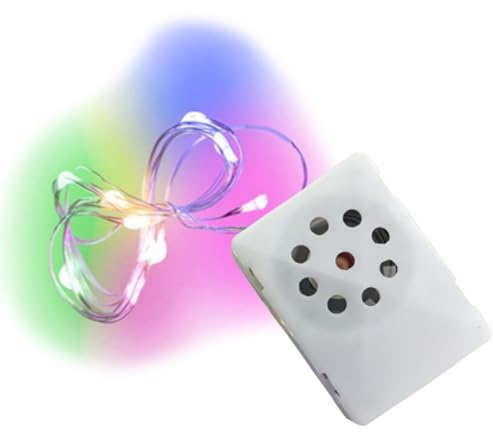 Módulo De Sonido Grabable - Caja con Grabador De Sonido | Decoraciones Luminosas con Luces LED para Fiesta De Cumpleaños para Hija Esposa Marido Amigos Mamá Papá