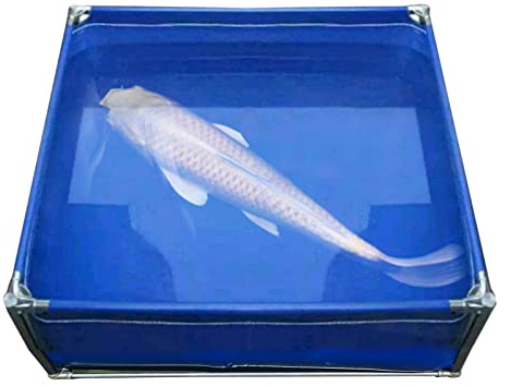 Kit d'étang à poissons d'extérieur rectangulaire pour piscine hors sol pour jardin/terrasse/cour/ferme/balcon bassin d'eau en tissu avec cadre en acier pour un assemblage facile.