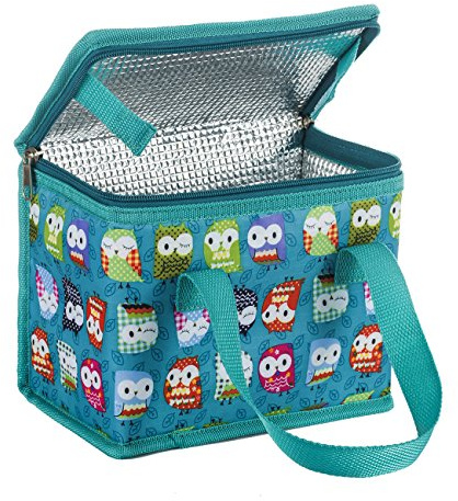 TEAMOOK Folding Lunch Bag Insulated Lunch Box Cool Bag Green Owl 4-6 cans