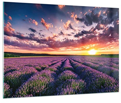 Bilder auf Glas 100x70cm Glasbild Lavendel Berge Feld Groß Wanddeko Bild im Glas Schlafzimmer Küche Deko Wandbilder Dekoration Wohnzimmer Modern Wall Decor Glasdruck Wand Kunstdruck Art GAA100x70-3816