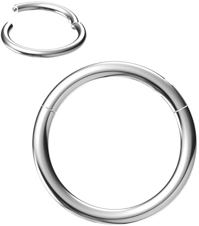NewkeepsR 316L Edelstahl Hinged Segmentring Augenbraue Conch Daith Helix Lippe Nase Ohr Rook Septum Clicker Ringe