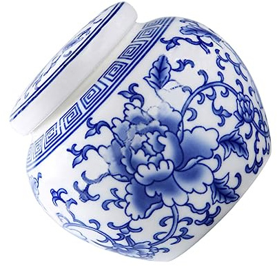 LOPUNER Boîte à Thé En Céramique Bleue Blanche Multifonctionnelle 500ml Avec Couvercle Hermétique Pot De Conservation Du Thé Cuisine Et Salon