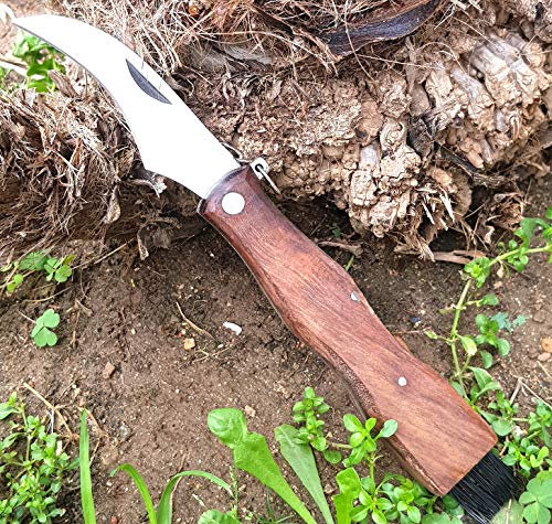 ARMERIAONLINE SINCE 1999 Coltello Funghi con Spazzola Coltello per Raccolta Funghi Porcini cardoncelli Tartufo con Lama in Acciaio Inox