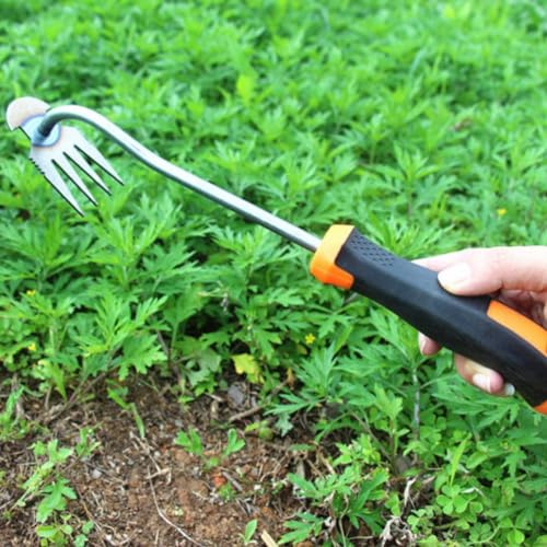 2 Stück Fugenreiniger Unkraut,Fugenkratzer Mit Stiel Unkraut Entferner Gerät,Unkrautjäter,Gartenwerkzeug,Gartengeräte zum Entfernen von Gartenunkräutern.