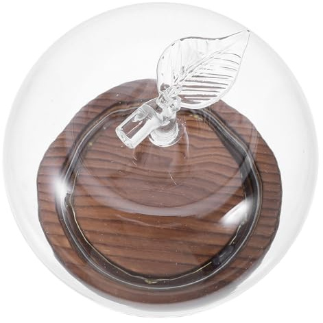 TOVINANNA Glass Cloche Dôme de Présentation avec Base Bois Vintage Jarre Transparente pour Figurines Fleurs Séchées et Collections Protection la Poussière pour Décors de Bureau ou Mariage