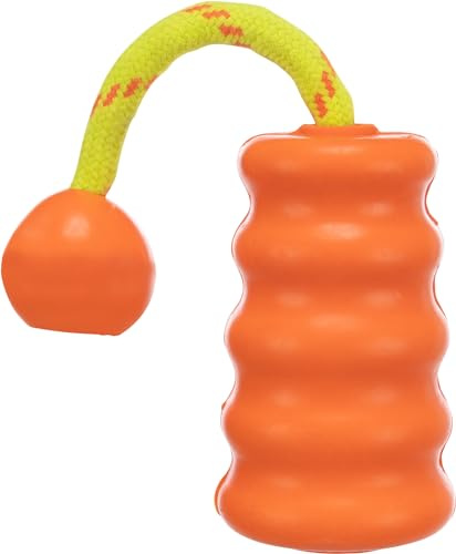 Trixie Juguete Motivacional para Perros de 22 cm