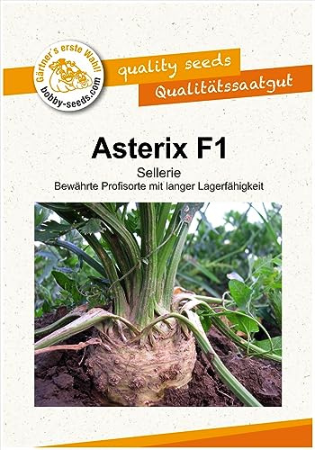 Gemüsesamen Asterix F1, Knollensellerie Portion
