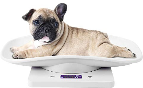 Zerodis Pet Weight Scale, Baby Weight Scale Baby Scales 10kg/1g Digital Small Cats Dogs Measure Tool Electronic Kitchen Scale for Toddler Small Puppy Cat Dog
