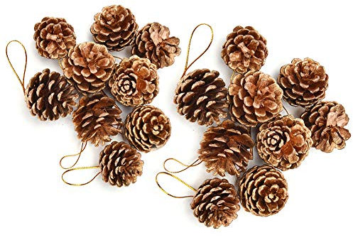 18 Stück Weihnachten Tannenzapfen Ornament,natürliche Tannenzapfen mit Schnur Anhänger Handwerk für Weihnachtsbaum hängen Dekoration,Gold Weihnachten/Thanksgiving Mini Tannenzapfen Home Ornament