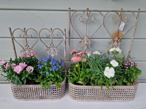 Arinosa Wandschale Wanddekoration Korboptik Gartendeko Shabby Chic Metall wählbar in 2 Größen, Größe Wandkörbe:Klein 27 x 12 x 35 cm