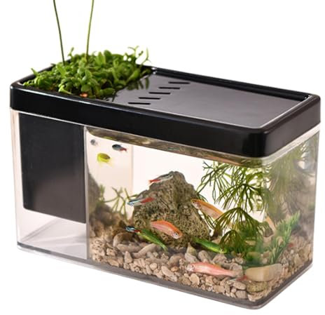 Aquarium Betta | Petit Réservoir Transparent pour Singes De Mer, Crevettes, Escargots - Aquarium pour Poissons