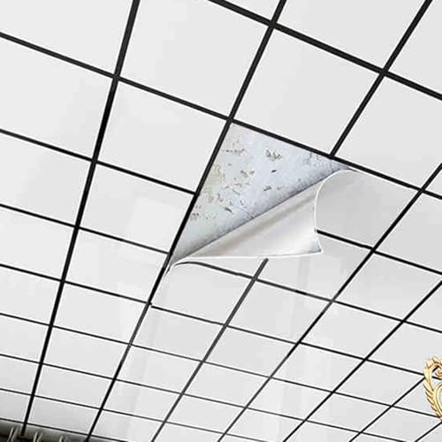 QHZYMX Dalle de Plafond Dalles De Plafond Adhésives Imperméables 30 X 60 Cm, Feuilles Décoratives Autocollantes sous-Sol, Cuisine Et Résidence, Faciles À Nettoyer Et Résistantes À l'huile.(90 pcs)