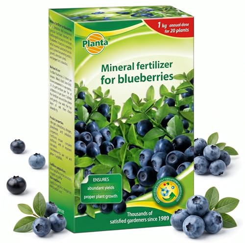 Blueberry Plant Fertiliser 1kg for Blueberries Azaleas Rhododendrons Feed