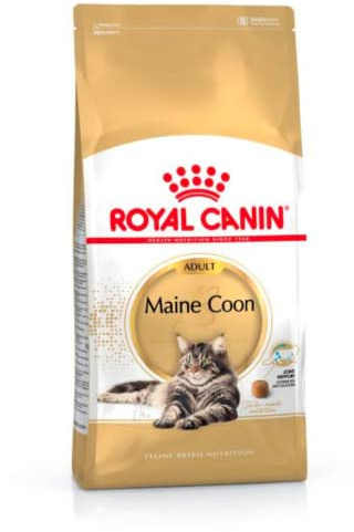 Royal Canin Katzenfutter Maine Coon 31, 4 kg
