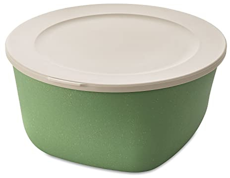 CONNECT BOX 4 mit Deckel 4l nature leaf green