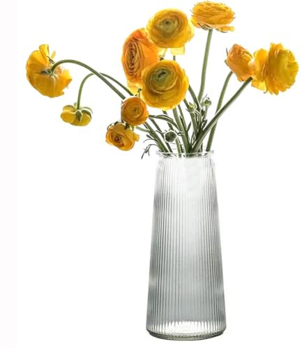 Jarrón de Vidrio Transparente de 20 cm Jarrón de Flores de Cilindro de Boca Ancha Piezas centrales del hogar para la Boda de la Sala de Estar la Cocina de la Oficina