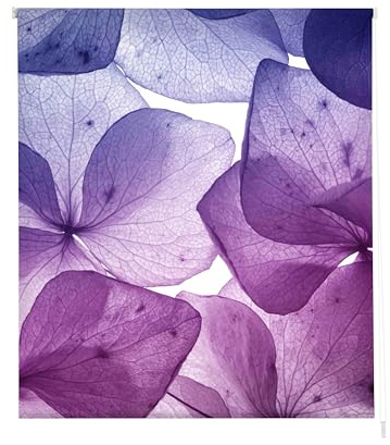 Estoralis Flores y Plantas | Estor Enrollable Diseño Moderno | Translúcido Estampado Digital | Modelo F-1526 | 110 x 180 cm (Ancho/Alto) Tamaño Tela 107 x 175 cm | Estores para Ventanas y Puertas