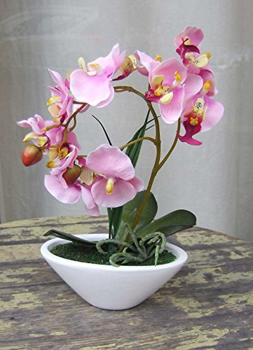 Künstliche Orchidee rosa im ovalen Gefäß ca.30cm Kunstblumen Kunstpflanzen