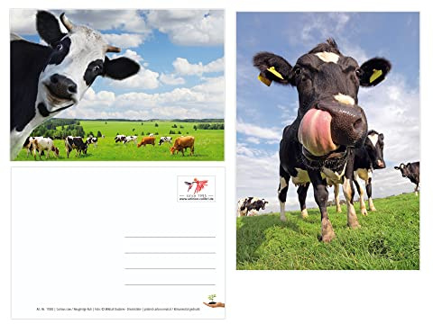 Edition Colibri Postales divertidas de vacas (2 unidades) (10529)