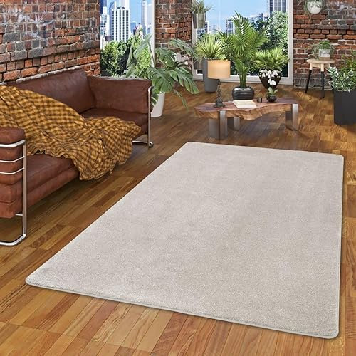 Snapstyle Hochflor Luxus Velours Teppich Touch Silber in 24 Größen