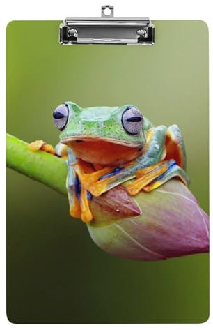 Grenouille Volante A4 Planchettes À Pince Porte Bloc Format Pour Bureau Salle De Classe Restaurant