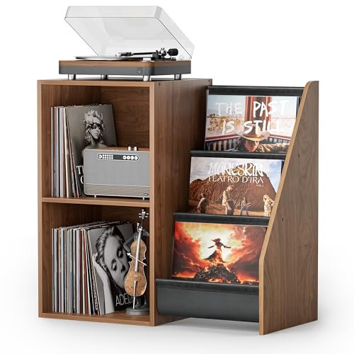 Plattenspieler-Ständer, Plattenspieler-Ständer mit Vinyl-Schallplatten-Aufbewahrung, Plattenspieler-Tisch mit Vinyl-Display-Halter, Regal, Plattenspieler-Schrank mit 220 Alben, Organizer