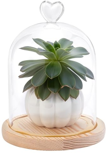 WADORN Cloche en verre transparent de 20 x 14 cm avec poignée supérieure en forme de cœur et base en bois beige pour objets de collection antiques, spécimens, plantes, décoration de table de Noël
